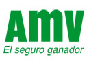 AMV - El seguro ganador!